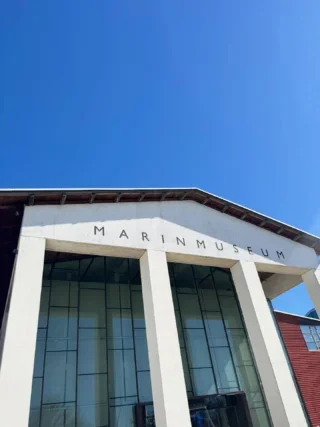 Idag var några av klienterna på Marinmuseumet i Karlskrona ⚓️🚢