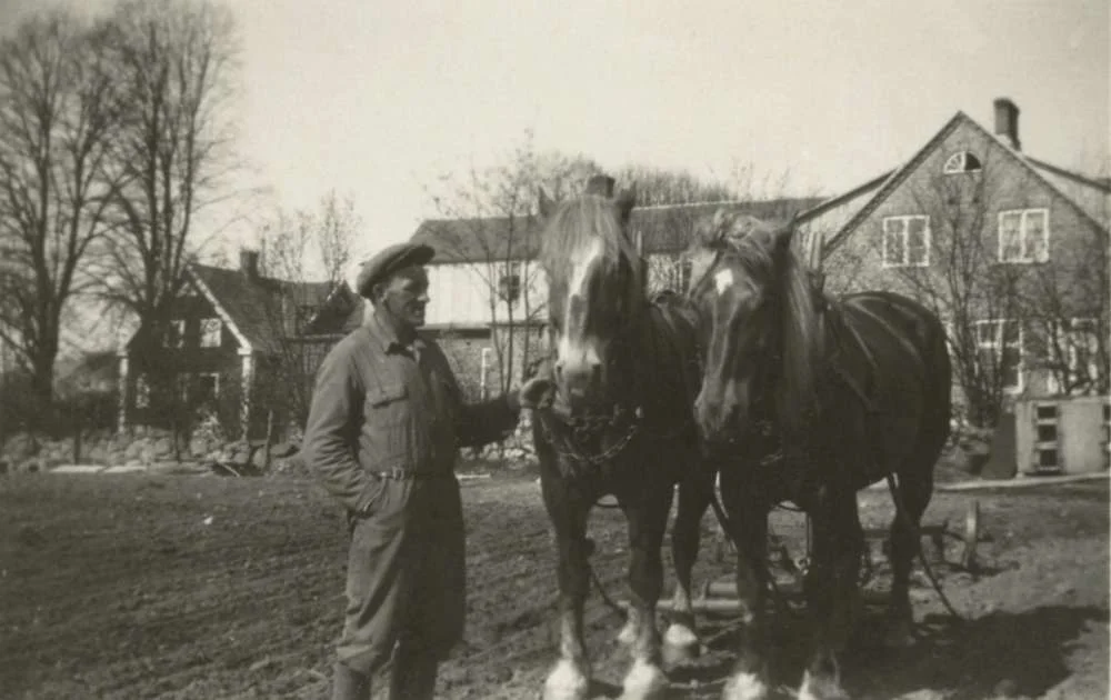 Röingegården historiskt foto 3